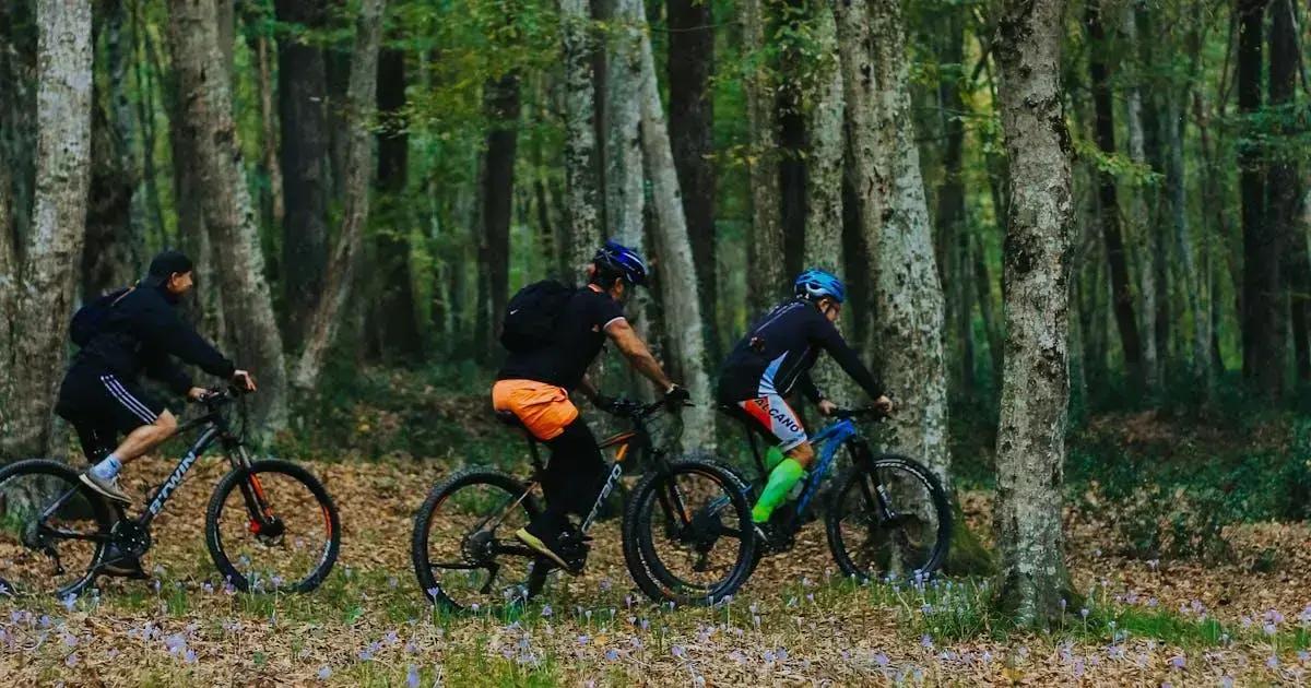 MTB: Descubra as melhores dicas para aprimorar sua performance