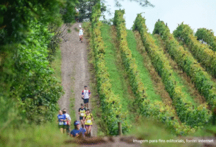 Maratona do Vinho 2026: quando resistência, terroir e experiência convergem nos vinhedos de Bento Gonçalves