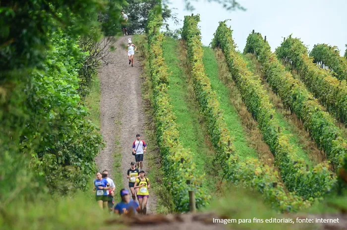 Maratona do Vinho 2026: quando resistência, terroir e experiência convergem nos vinhedos de Bento Gonçalves