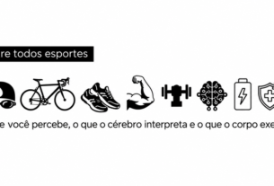 o que você percebe, o que o cérebro interpreta e o que o corpo executa